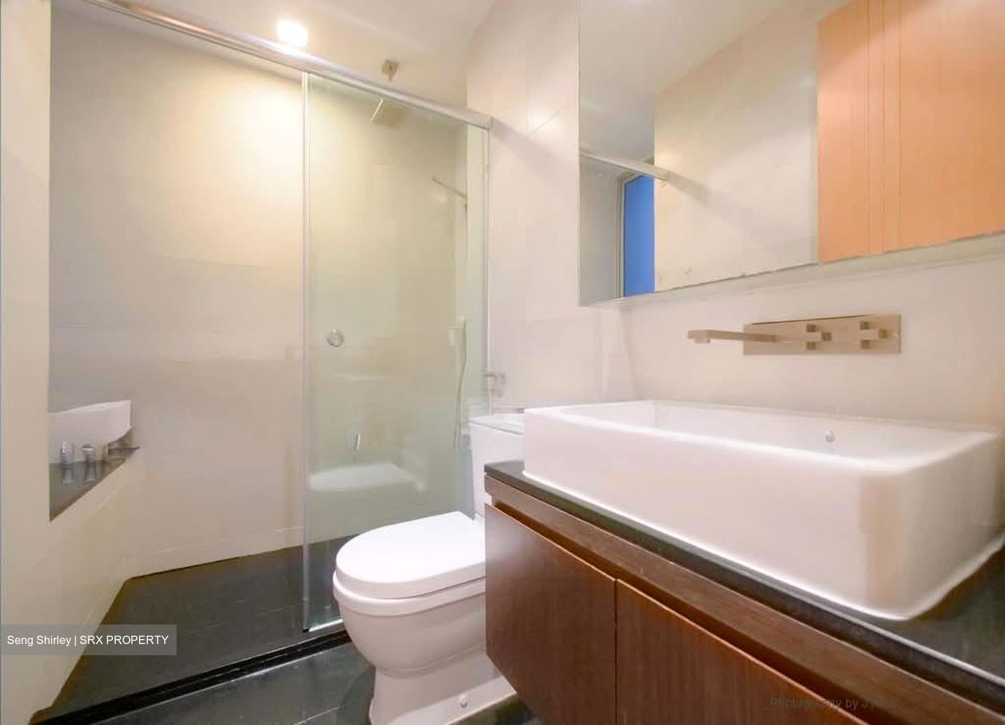 Iridium (D11), Apartment #566137601